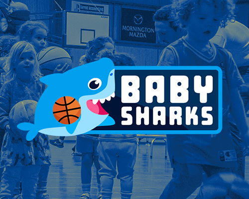 Baby Sharks program